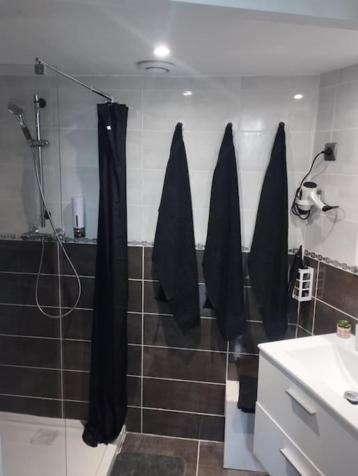 Appartement Coeur De Ville! فوا المظهر الخارجي الصورة