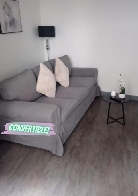 Appartement Coeur De Ville! فوا المظهر الخارجي الصورة